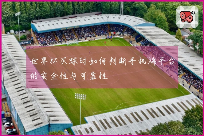 世界杯买球时如何判断手机端平台的安全性与可靠性