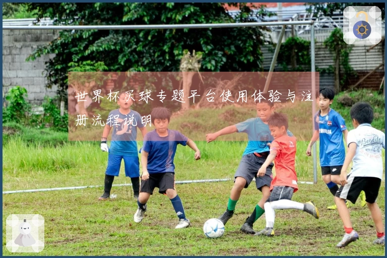 世界杯买球专题平台使用体验与注册流程说明