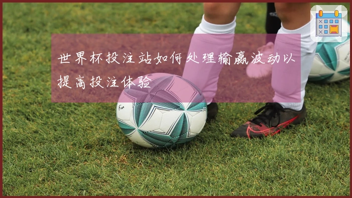 世界杯投注站如何处理输赢波动以提高投注体验