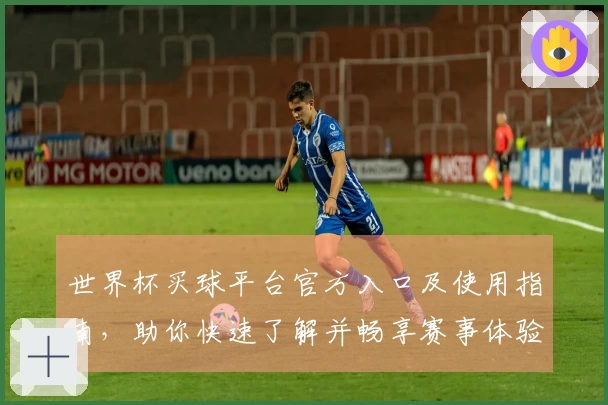 世界杯买球平台官方入口及使用指南，助你快速了解并畅享赛事体验