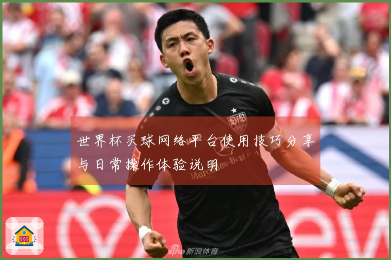 世界杯买球网络平台使用技巧分享与日常操作体验说明