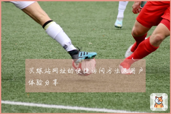 买球站网址的便捷访问方法及用户体验分享