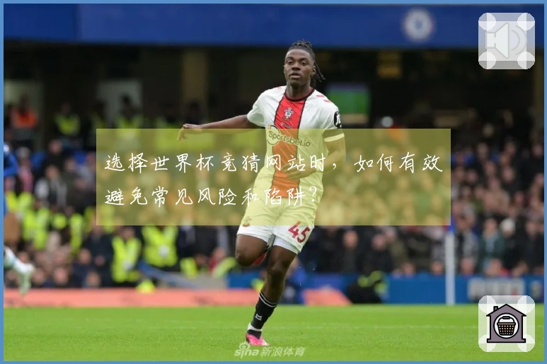 选择世界杯竞猜网站时,如何有效避免常见风险和陷阱?
