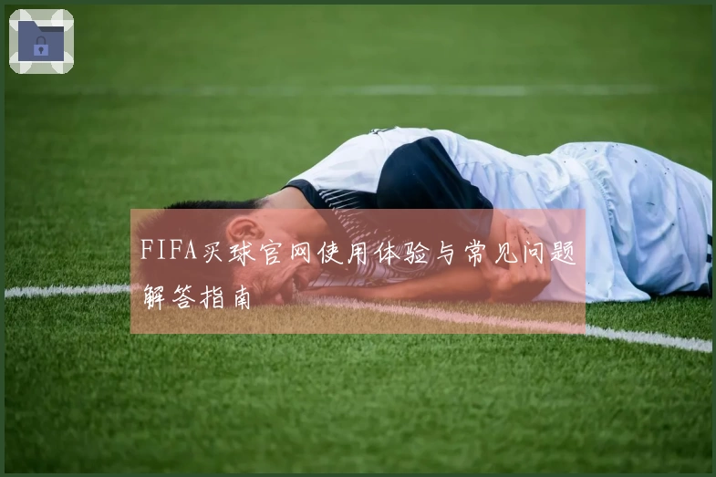 FIFA买球官网使用体验与常见问题解答指南