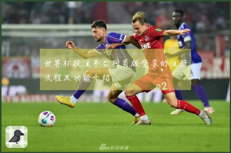 世界杯投注平台网页版登录的注册流程及功能介绍