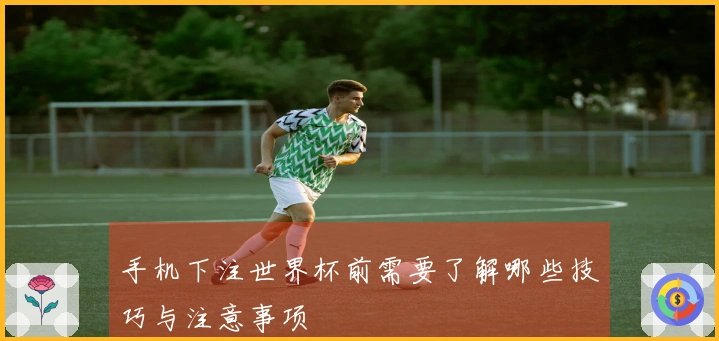 手机下注世界杯前需要了解哪些技巧与注意事项