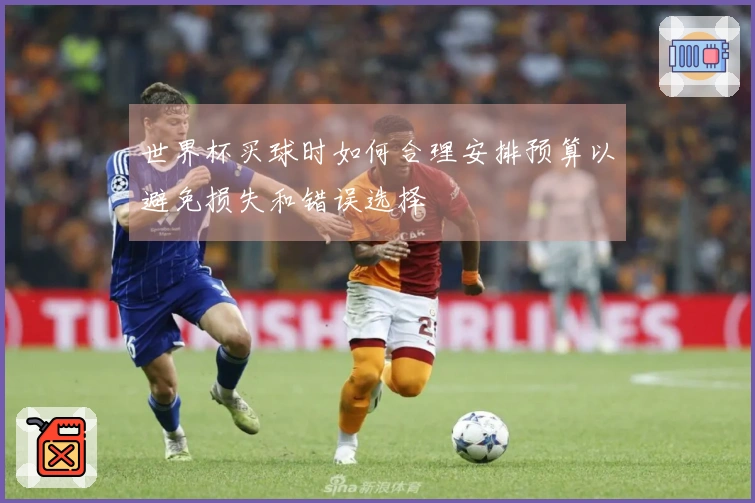 世界杯买球时如何合理安排预算以避免损失和错误选择