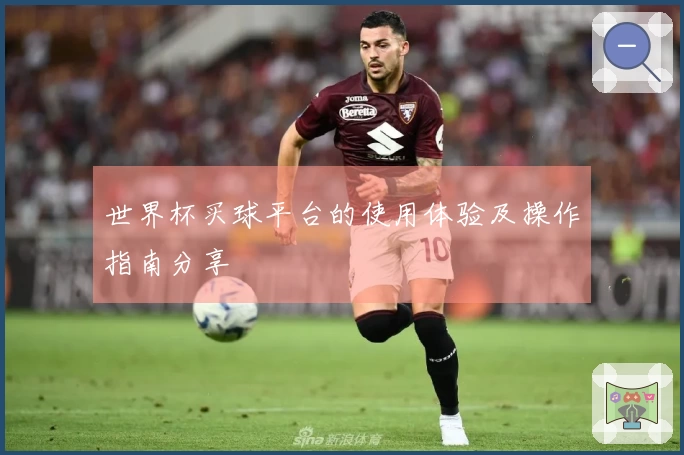 世界杯买球平台的使用体验及操作指南分享