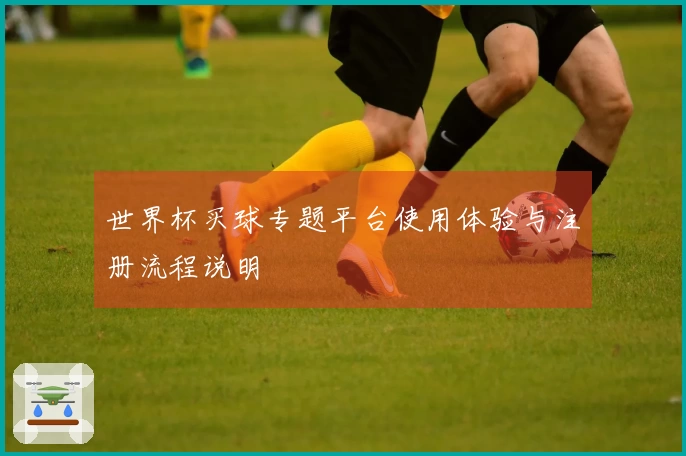 世界杯买球专题平台使用体验与注册流程说明